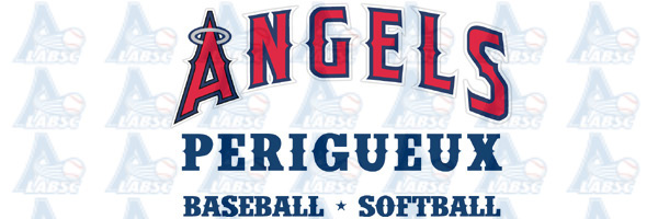 Baseball Softball Cricket en Aquitaine Baseball Softball Cricket en Aquitaine