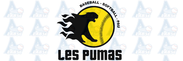 Baseball Softball Cricket en Aquitaine Baseball Softball Cricket en Aquitaine