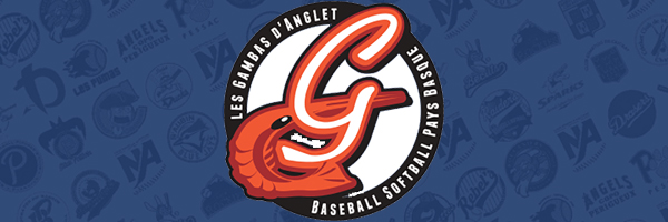 Baseball Softball Cricket en Aquitaine Baseball Softball Cricket en Aquitaine