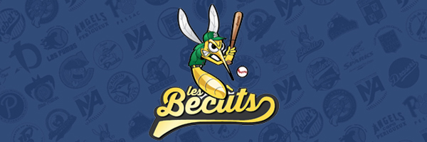 Baseball Softball Cricket en Aquitaine Baseball Softball Cricket en Aquitaine