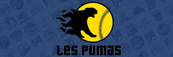 Baseball Softball Cricket en Aquitaine